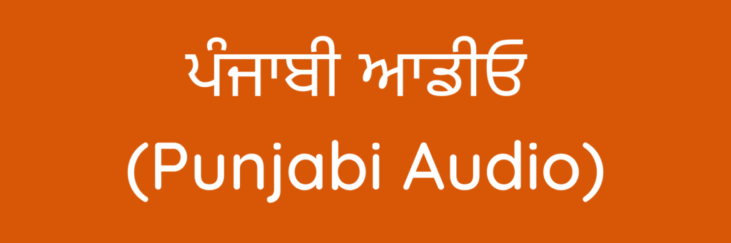 ਪੰਜਾਬੀ ਆਡੀਓ (Punjabi Audio)