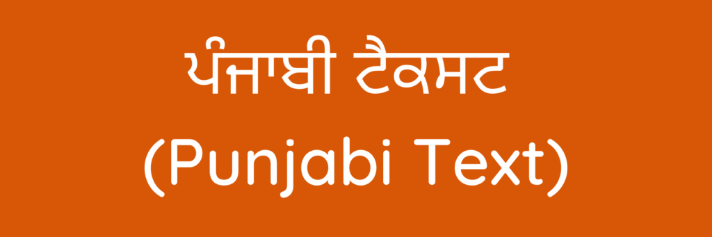 ਪੰਜਾਬੀ ਟੈਕਸਟ (Punjabi Text)